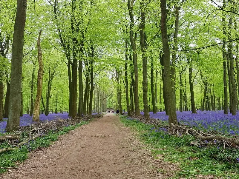 Ashridge Estate